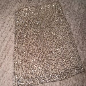 Elegant Silver Sequin Skirt